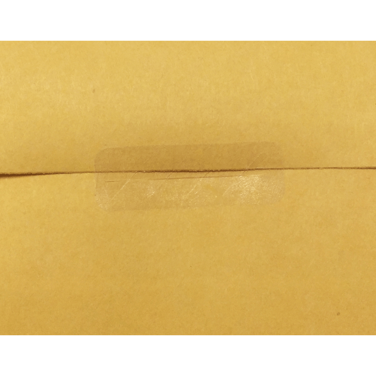 Clear Tamper Resistant Labels | 0.5" x 1.5"