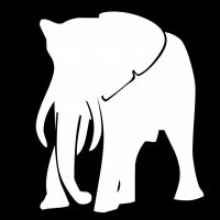 white-elephant white-elephant