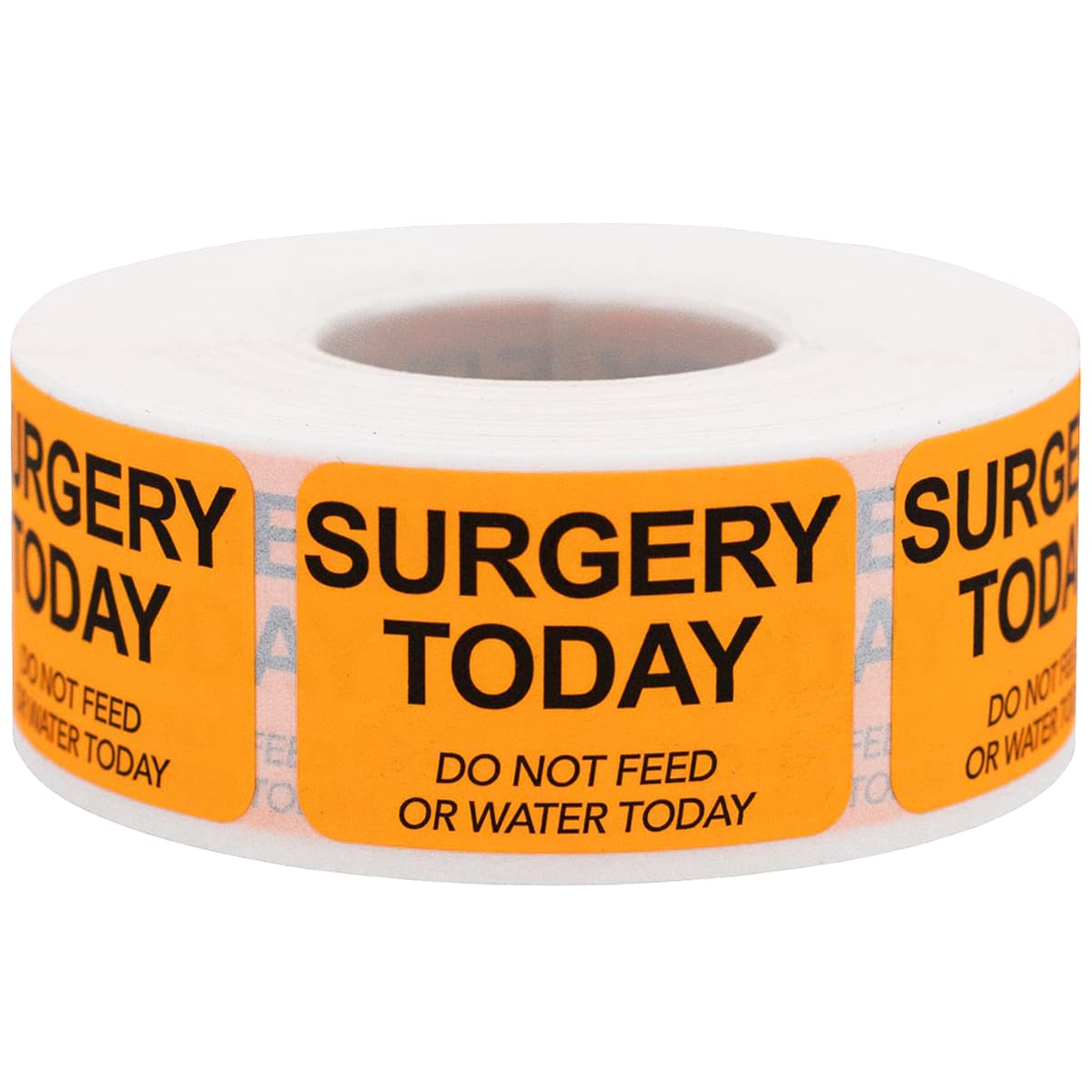 Surgery Today - Do Not Feed or Water Veterinarian Labels | 1" x 1.5" Surgery Today - Do Not Feed or Water Veterinarian Labels | 1" x 1.5"
