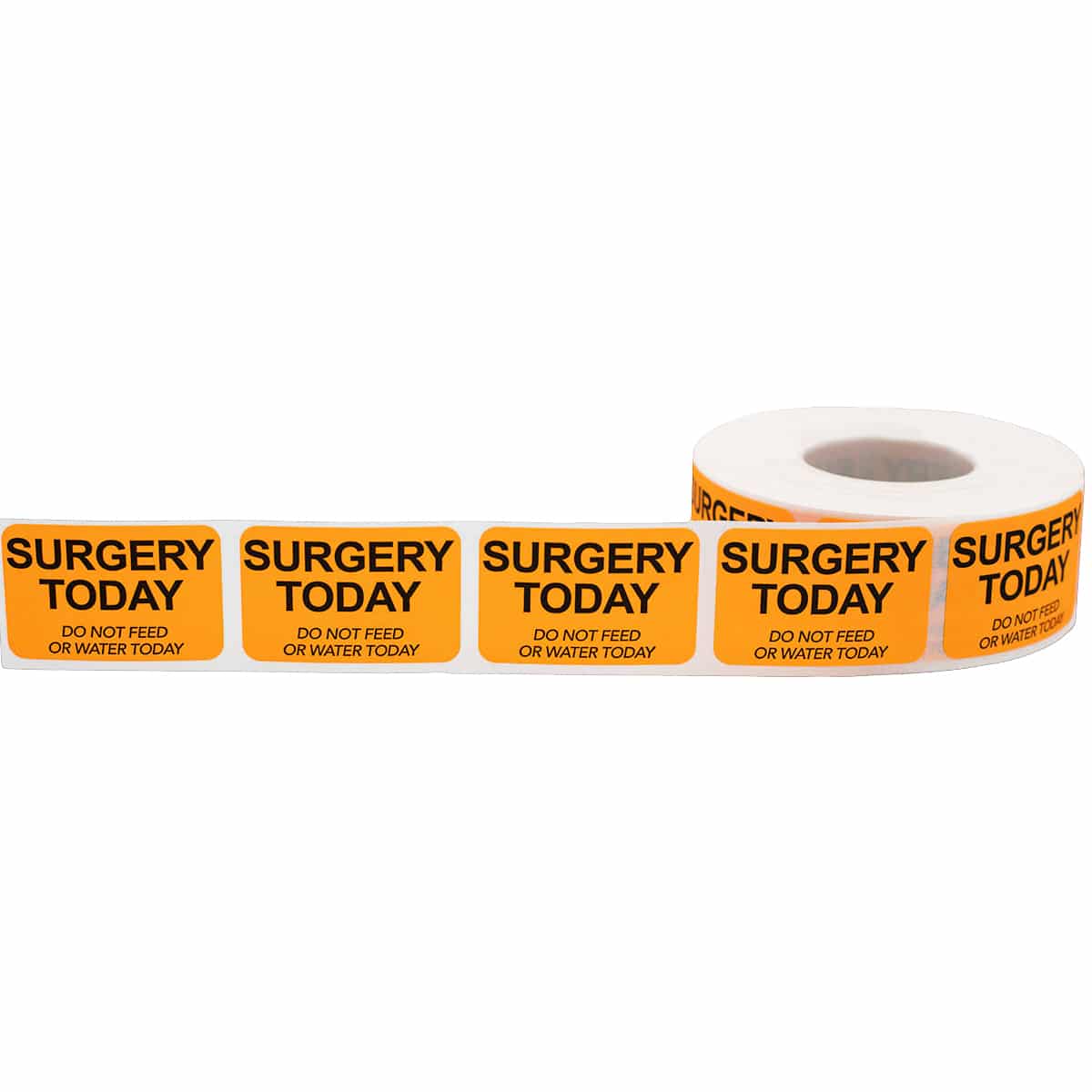 Surgery Today - Do Not Feed or Water Veterinarian Labels | 1" x 1.5" Surgery Today - Do Not Feed or Water Veterinarian Labels | 1" x 1.5"