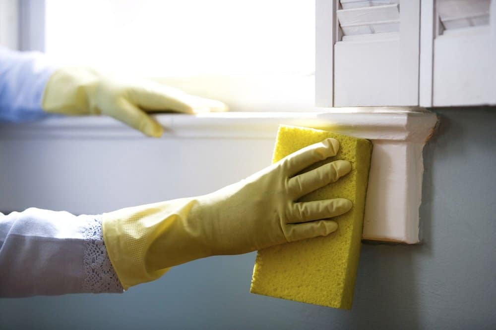 Sponge on windowsill with gloves