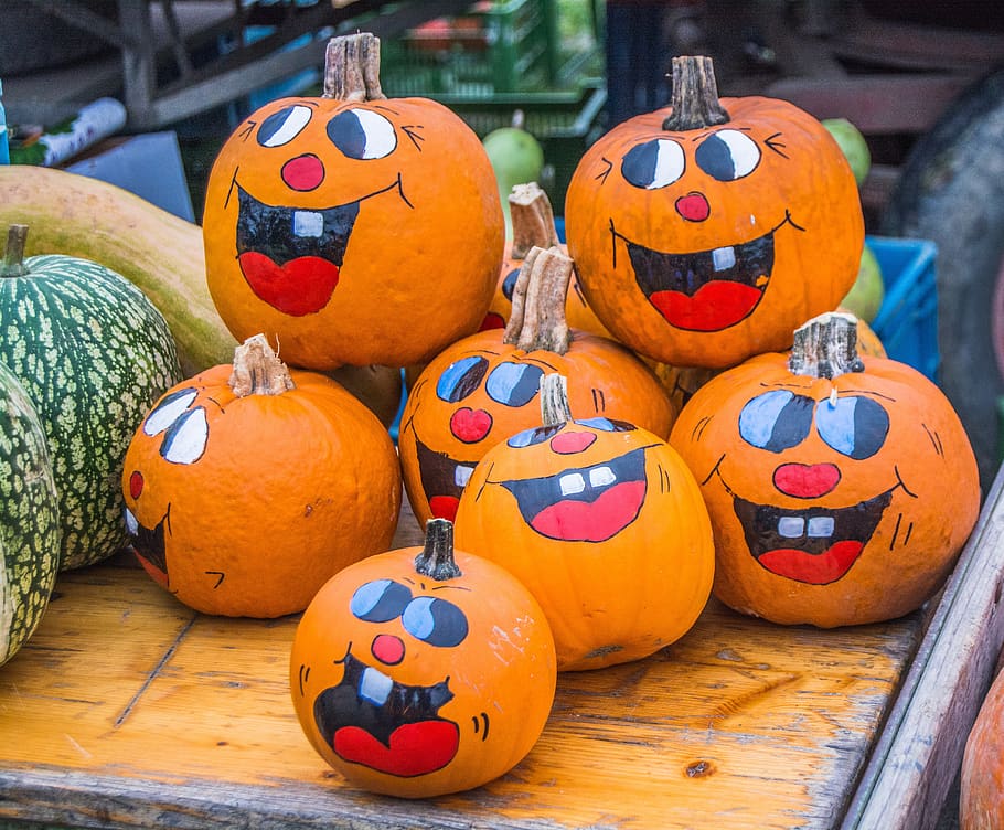decorated pumpkins Decorated Pumpkins