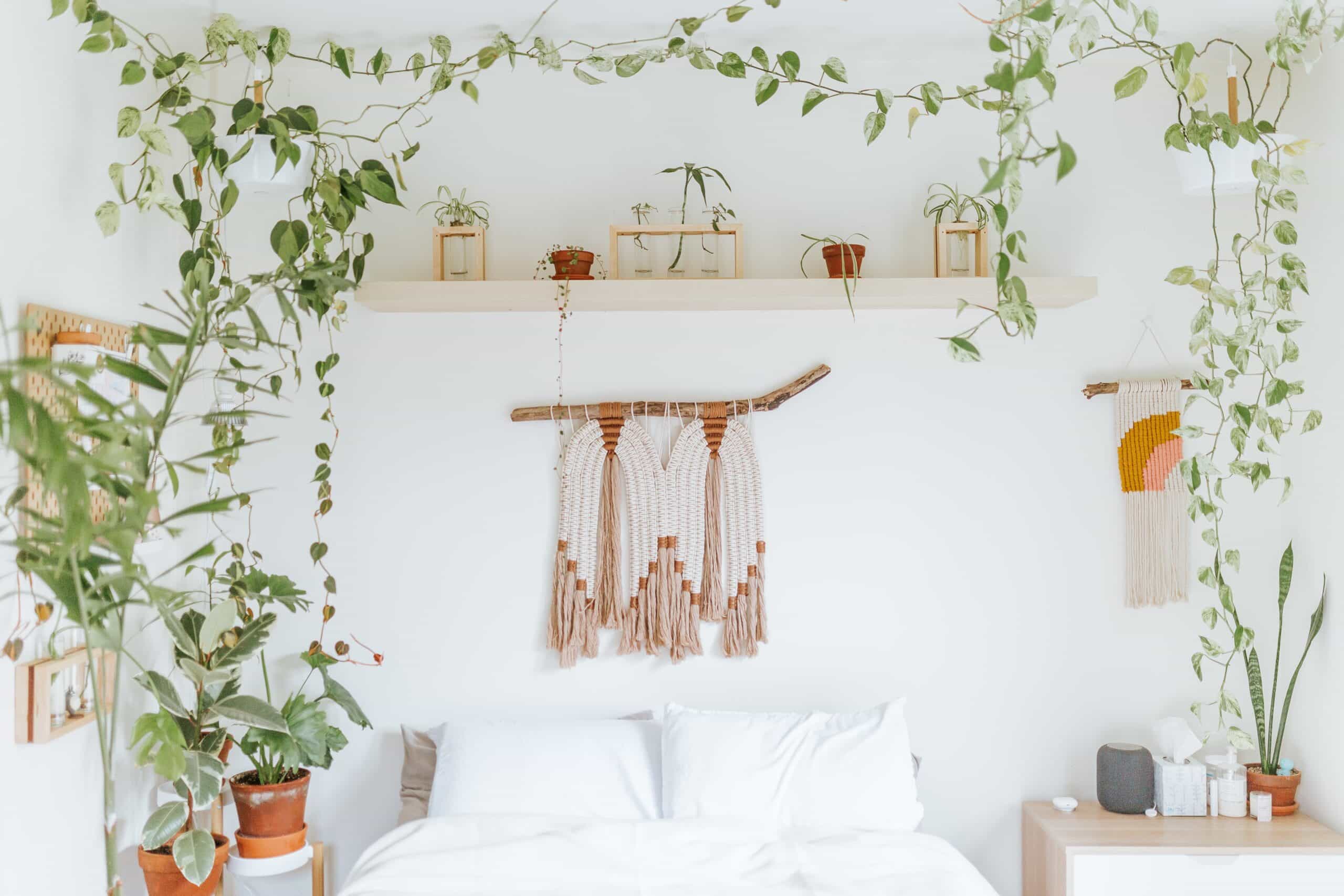 cole-keister-ZN9LhLYCVko-unsplash Neutral colors and lots of plants for a boho styled room